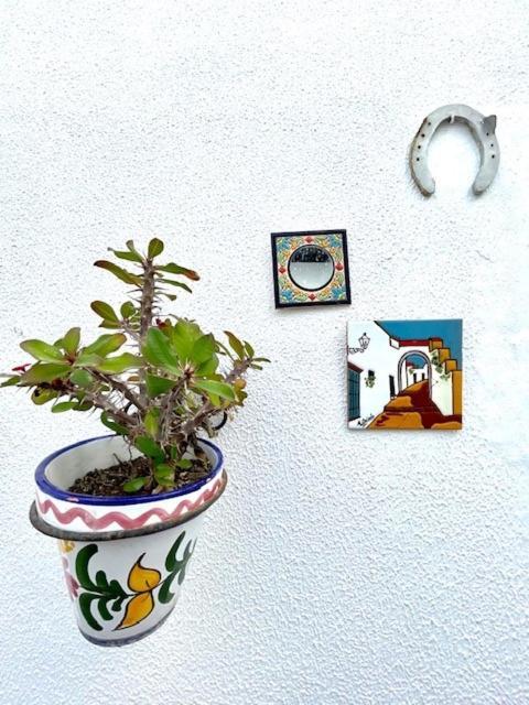 Gatu Premium Villa Patio Andaluz El Puerto de Santa María Eksteriør bilde